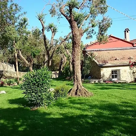 Case Di Campo Albenga Exterior foto
