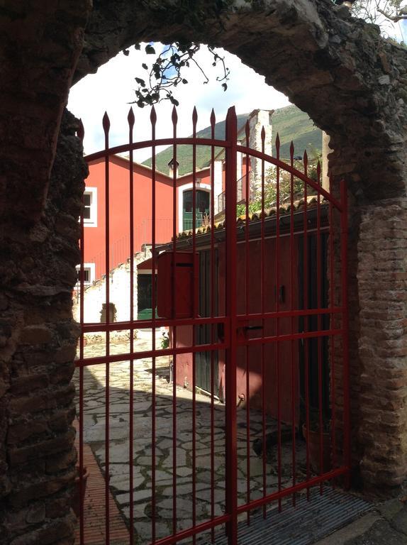 Di Campo *