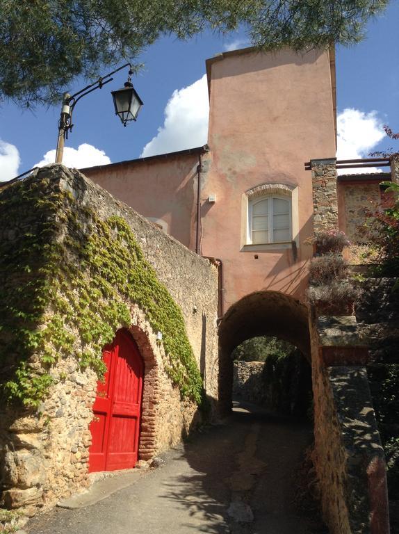 Di Campo